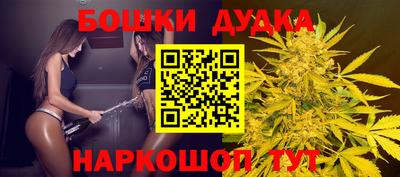 сатива Будённовск
