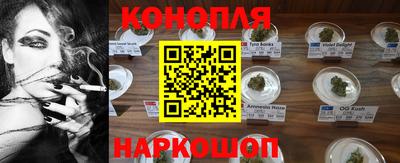 сатива Будённовск