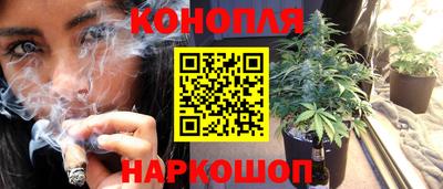 сатива Будённовск