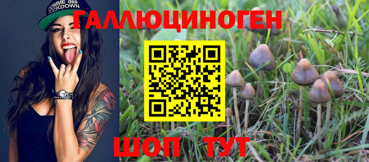 Псилоцибиновые грибы Magic Shrooms Вятские Поляны